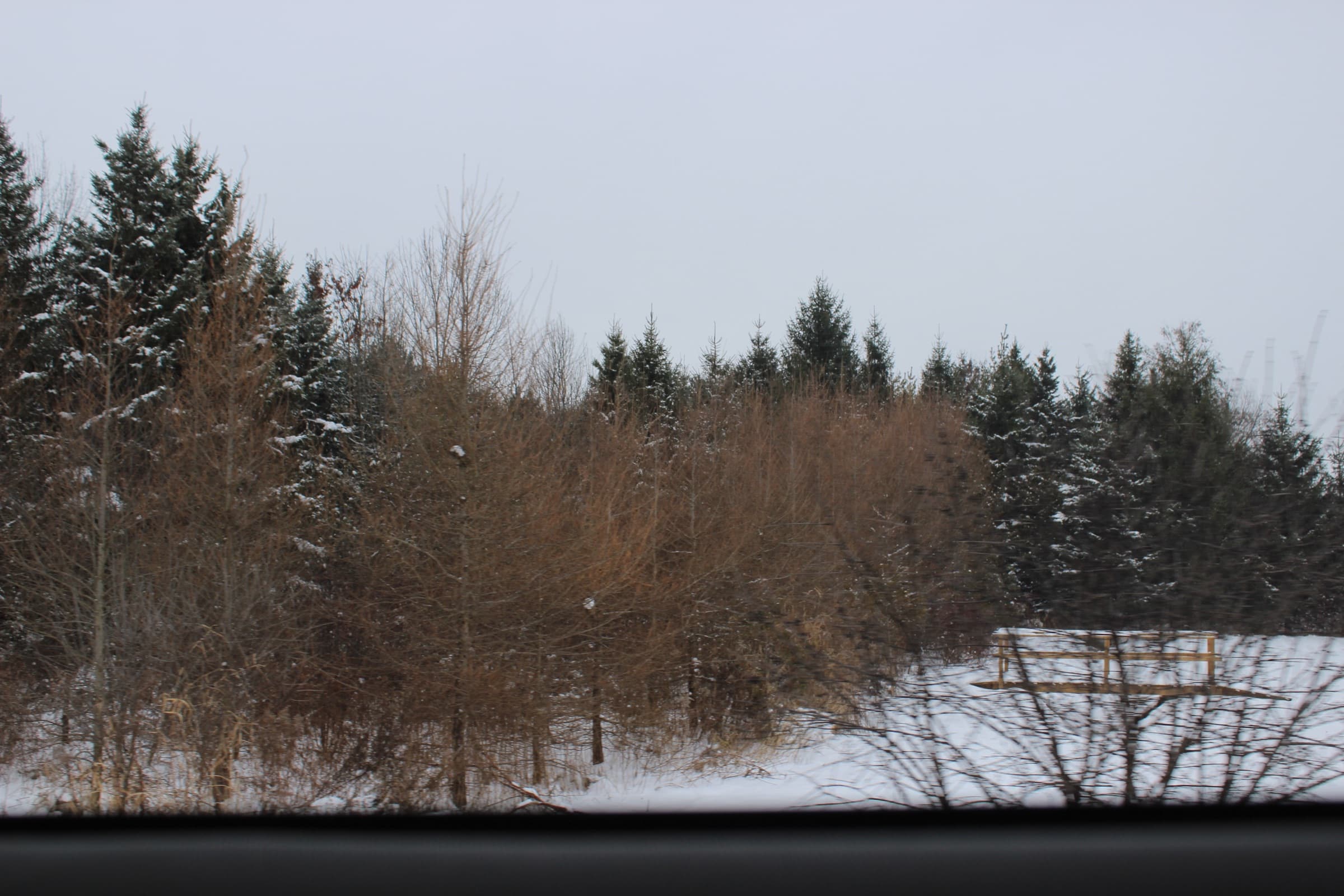 winter magic, elora 2024