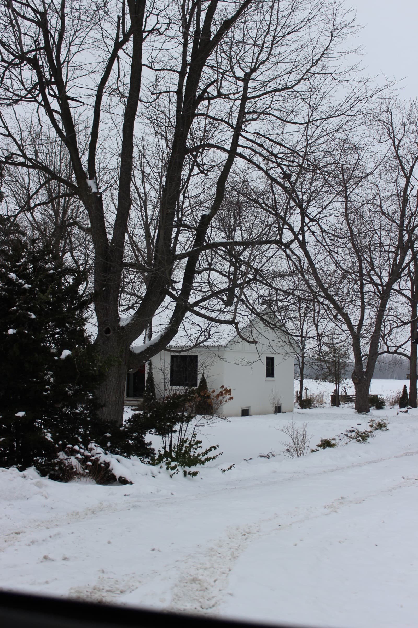 winter magic, elora 2024