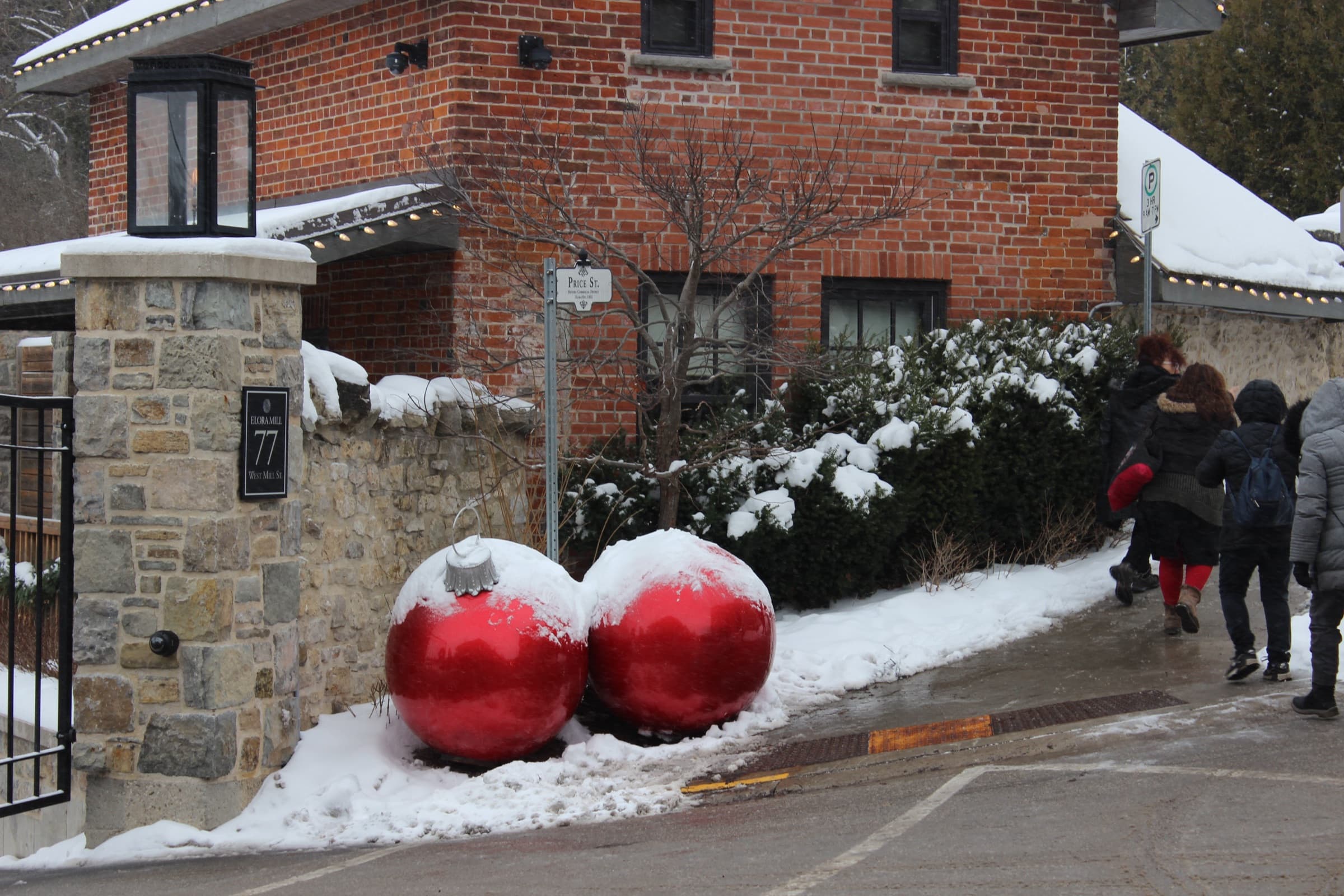 winter magic, elora 2024