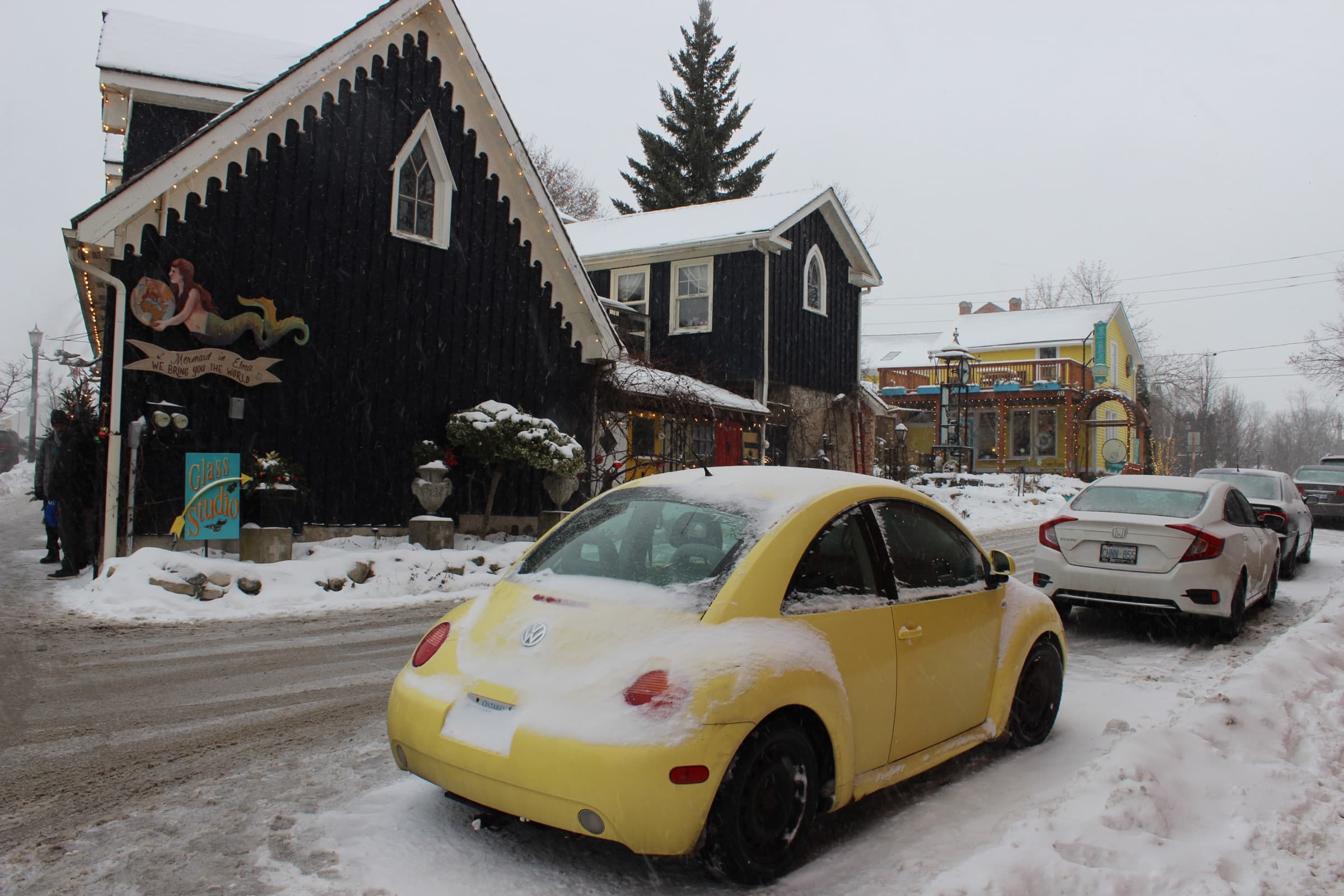 winter magic, elora 2024