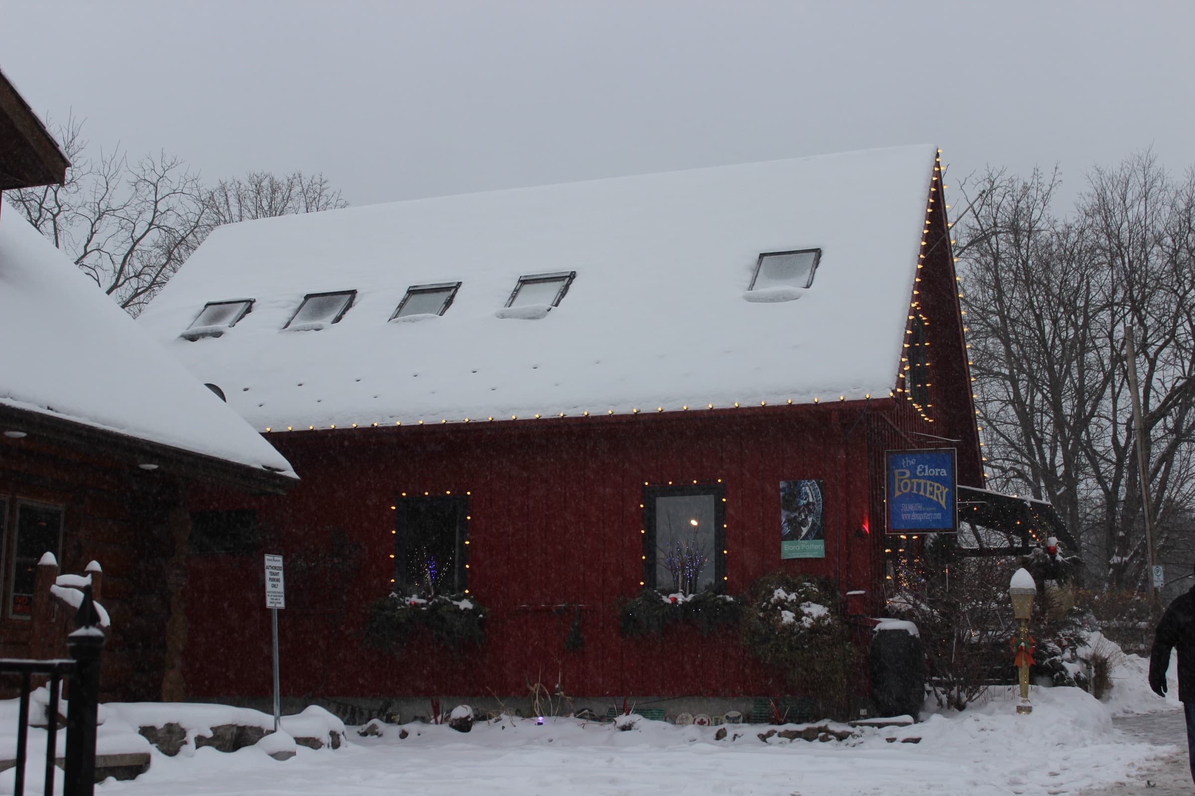 winter magic, elora 2024